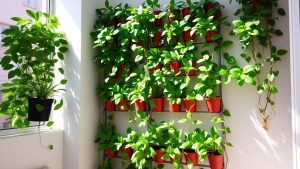 Grădină verticală interioară într-un apartament mic.